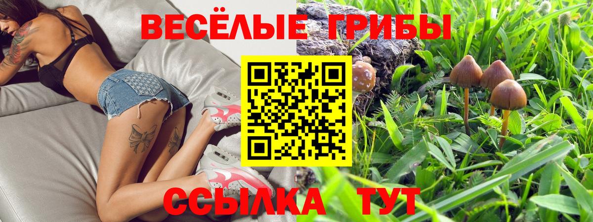 Галлюциногенные грибы Psilocybe  Вход с VPN  Усть-Джегута 